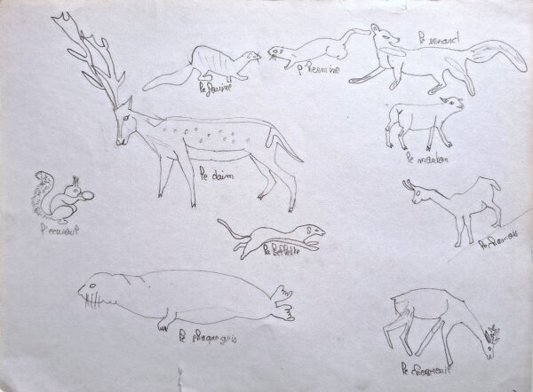 Les animaux n°9