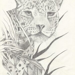 Afficher Gros chaton mignon