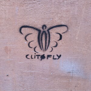 Afficher Clitofly