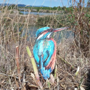 Afficher 08. Hors-cadre