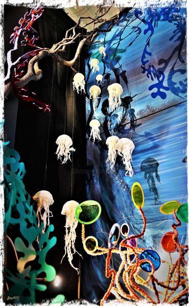 Comme un poisson dans l&rsquo;eau : vignette n°1