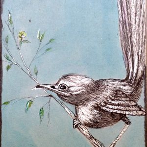 Afficher Stylo bille