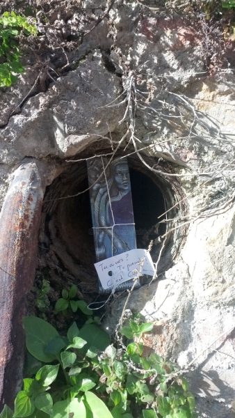 Molusque : vignette n°1