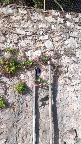 Molusque : vignette n°2