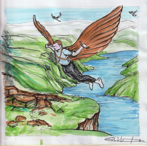 L&rsquo;envol de la baie : vignette n°1