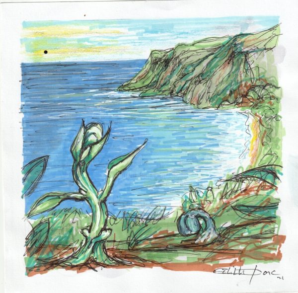 Ne gâchons pas tout : vignette n°1