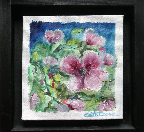 Géranium : vignette n°1