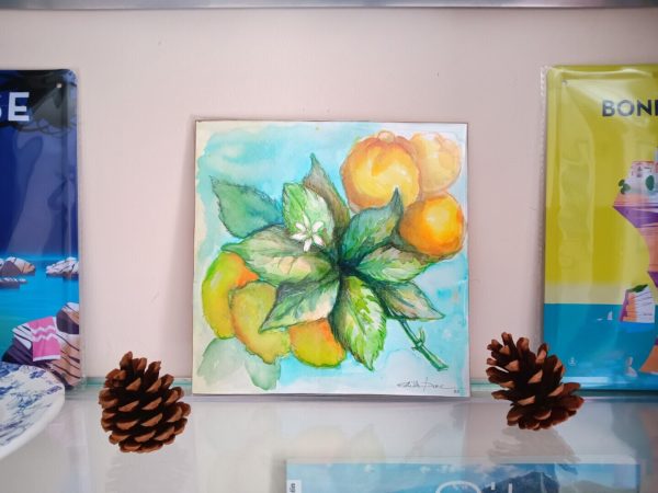 Agrumes : vignette n°1