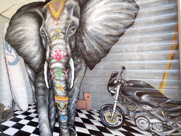 Elephant : vignette n°1