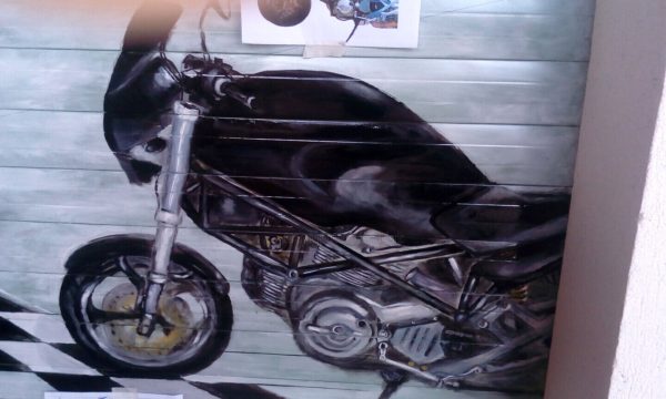 Elephant : vignette n°3