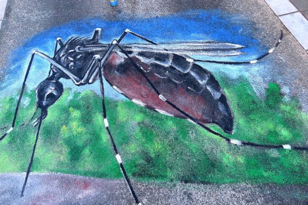 Celui-ci, vous ne pourrez pas le louper! : vignette n°1