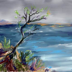 Afficher E.Donc_E.Draw