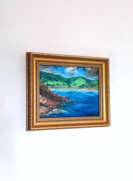 Plage de Pramousquiers : vignette n°4