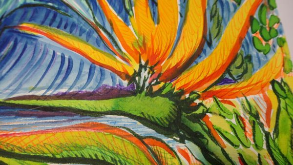 Strelitzia au claire de lune : vignette n°1