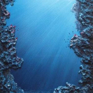 Afficher Re-naissance