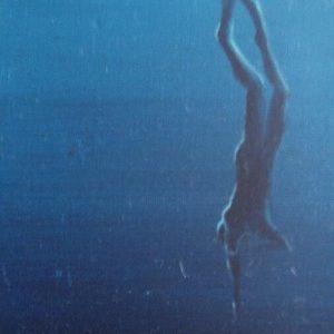 Afficher Disparition de la faune…