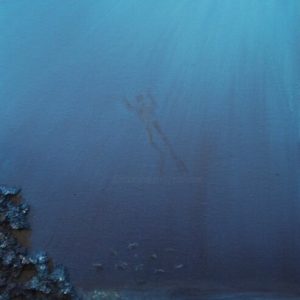 Afficher Disparition de la faune…