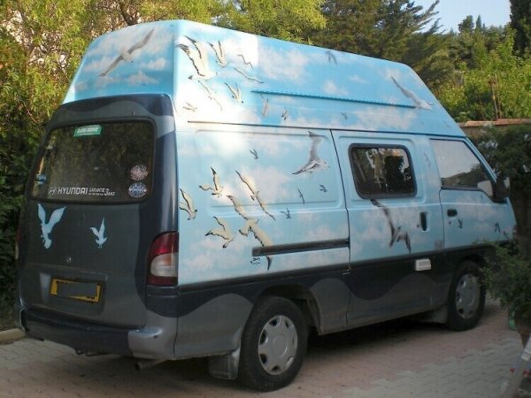 Mouettes : vignette n°1