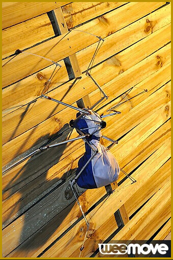 Les demoiselles de sortie au ARTLAB V Installation : vignette n°1