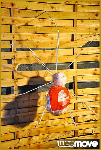 Les demoiselles de sortie au ARTLAB V Installation : vignette n°2