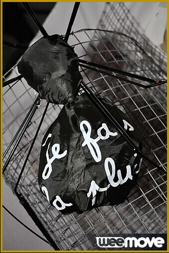 Les demoiselles de sortie au ARTLAB V Installation : vignette n°3