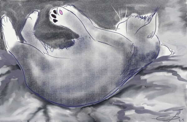 Tu restes mon chaton n°2