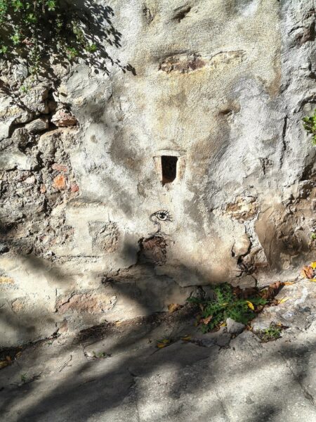 Bourgeon&rsquo;oeil rue Jules Romain à Hyères : vignette n°1