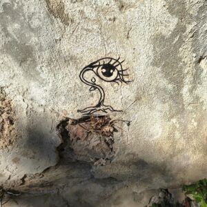 Afficher Dame nature nous surveille