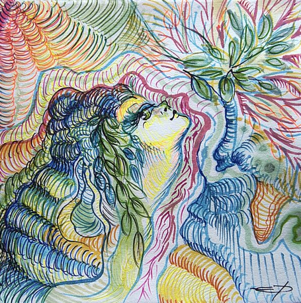 Orgie de chlorophylle n°1