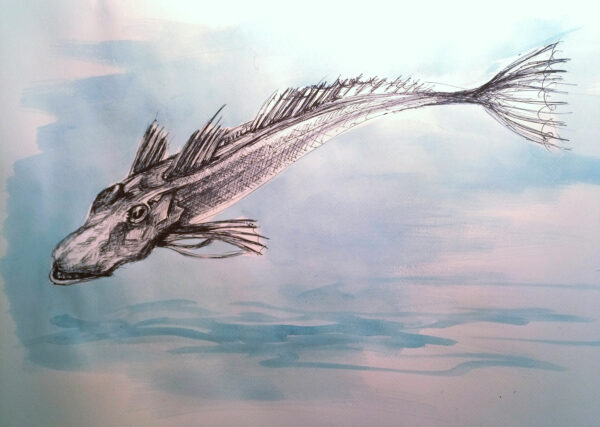 Drôle de poisson n°22