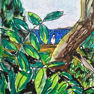 Afficher 26. Chlorophylle