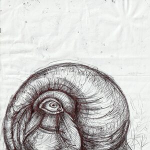 Afficher 04. Dessins