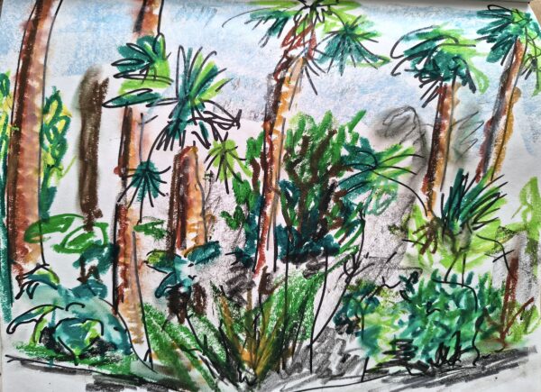 Les palmiers d&rsquo;Oblius Riquier n°85
