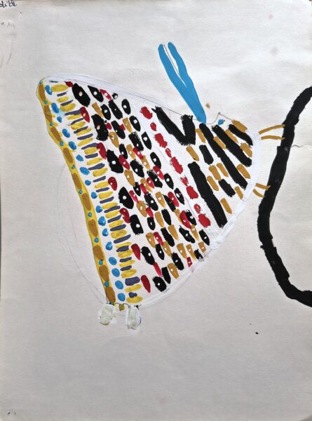 Papillon n°13