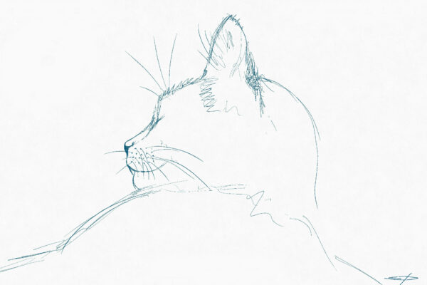 Chat qui dort n°1
