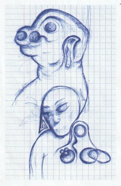 Cochon n°7