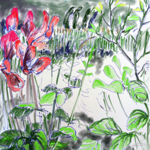 Afficher Chlorophylle